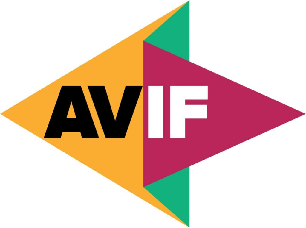 AVIF: How It Can Benefit Your Website Performance - VanceReview
