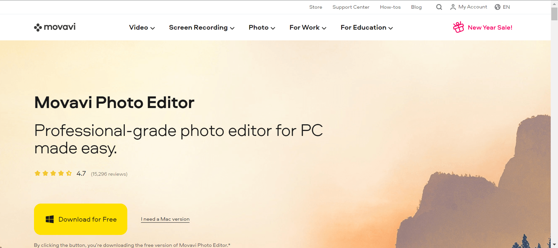 Movavi Photo Editor's website