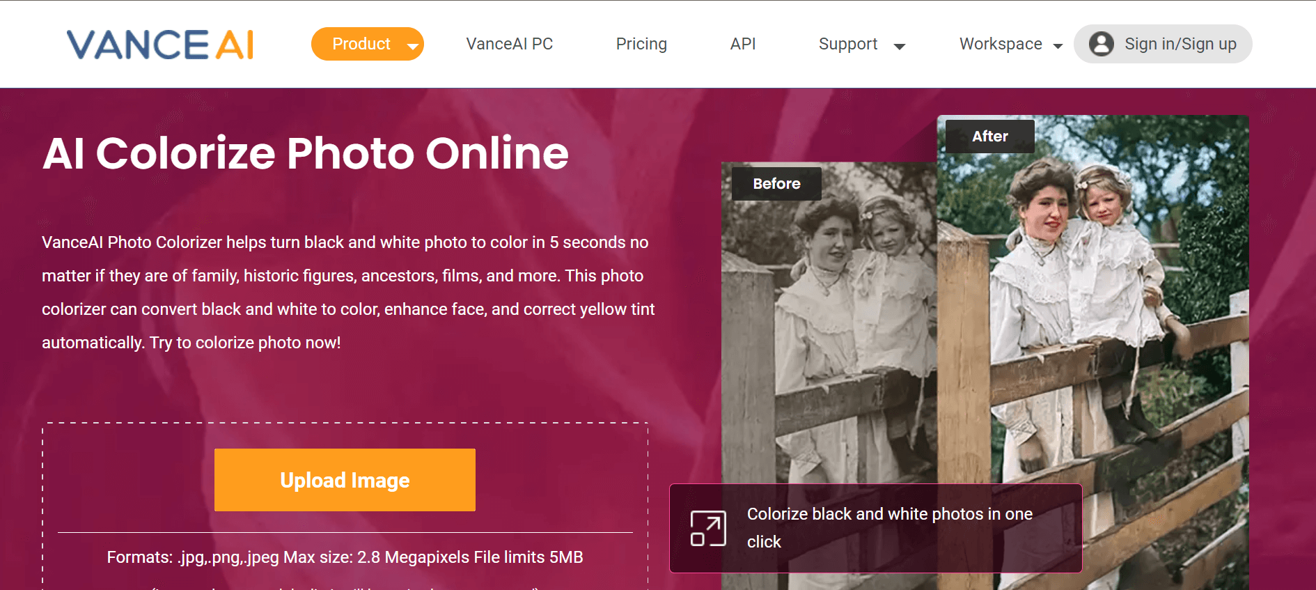 Vance AI colorize's website